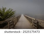 Over the bridge Into the unknown.