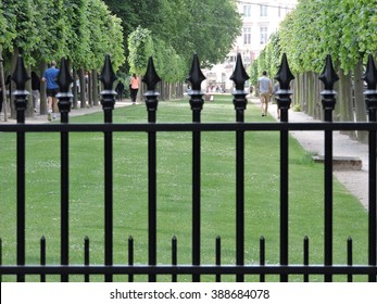 Over the fence - Shutterstock ID 388684078