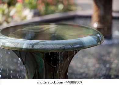 Over Flowing Bird Bath