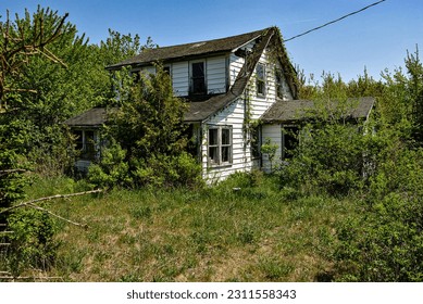 Over Grown Abandoned Spooky House - Shutterstock ID 2311558343