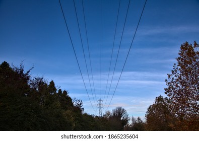 Over Head Cables With Tree Tops