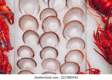 An Over Head View Of Fresh Scallops.