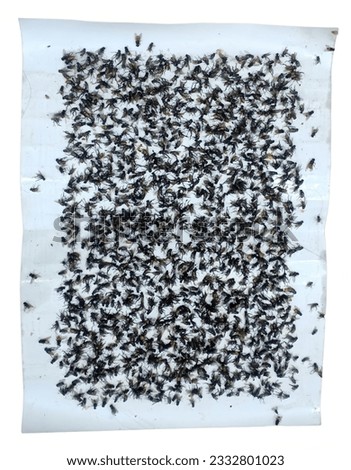 Over a hundred flies were ensnared in the trap.
