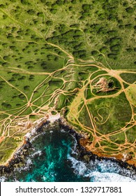 Over Multiple Years Of Offroad Driving Trucks Will Often Forge A Path Through The Dirt To Get Near The Ocean. The Paths Change With The Rain And Mud And Over Time Many Traills Are Formed. 