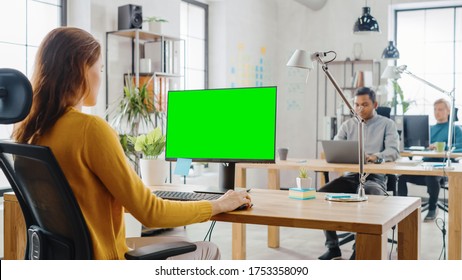 Over The Shoulder: Creative Young Woman Sitting At Her Desk Using Desktop Computer With Mock-up Green Screen. In The Background Bright Office Where Diverse Team Of Young Professionals Work.