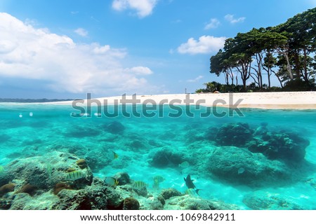 Over and under sea surface split image near a tropical island with sandy beach and colorful marine life with tropical fish underwater. Andaman and Nicobar Islands. The concept of snorkeling and diving Stock photo © 