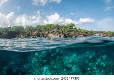 Over under, split level shot showing above and below the sea water. A bleached coral reef in shallow water with blue sky and rocky coastline above the water.