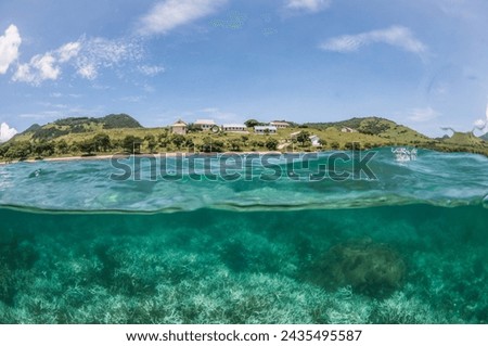 Over under, split level shot showing above and below the sea water. A bleached coral reef (stag horn coral - Acropora cervicornis) in shallow water with blue sky and green coastline above the water.