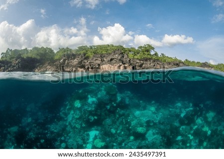 Over under, split level shot showing above and below the sea water. A bleached coral reef in shallow water with blue sky and rocky coastline above the water.