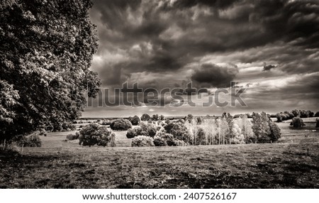 Overcast day over a verdant field in the Orne countryside in summer, Normandy, France	