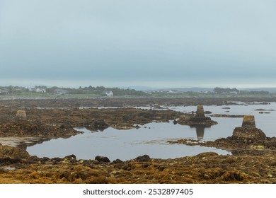 Overcast morning in Connemara, Ireland, showcasing the misty shoreline with scattered rocks and seaweed, reflective tidal pools, and quaint houses in the background - Powered by Shutterstock