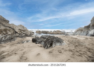 Overcast ocean landscape rocky sandy beach with seaweed covered rock  - Powered by Shutterstock