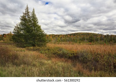 583 Hiawatha National Forest Images, Stock Photos & Vectors | Shutterstock