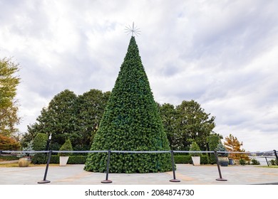 Overcast View Of A Christmas Tree In The Dallas Arboretum And Botanical Garden At Texas