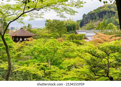 Overcast View Of The Famous Ginkaku Ji At Kyoto, Japan