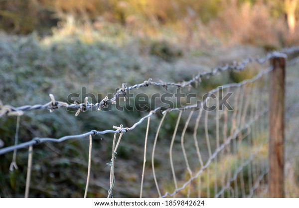 overcoming a barbed wire fence, roadblock with\
concrete cones against vehicles. the iron curtain divides nations.\
climb over the refugee fence to prick the wires. hang by the legs\
down. stretching his