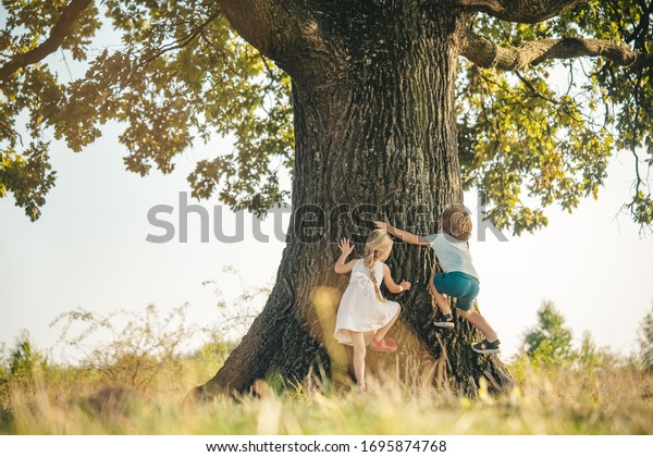 Overcoming the fear of heights. Happy children on\
countryside. Climbing trees children. Little boy and girl climbing\
high tree. Funny brother and\
sister
