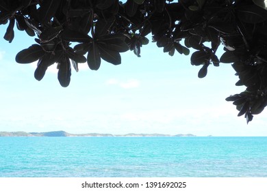 Overexposed Adding Color Effect On Beautiful Blue And Turquoise Sea And Tree With Green Leaves In Summer Season. Tropical Peaceful Beach View For Holidays, Travel, Nature And Inspirational Concept