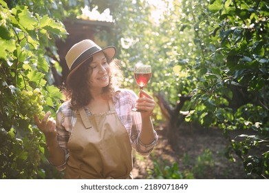 Overexposed photo taken at dawn, with beautiful sunbeams falling on a delightful multi-ethnic woman, winegrower, amateur winemaker, walking along the vineyards with glass of homemade wine in her hands