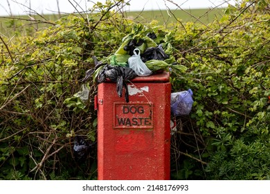 An Overflowing Dog Waste Bin In The Sussex Countryside After A Busy Bank Holiday Weekend