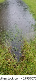 Overflowing Drain Ditch Central Florida