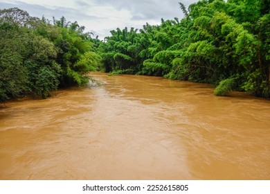 overflowing flooded muddy river, after heavy rains in tropical forest area. - Shutterstock ID 2252615805
