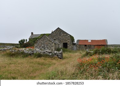Overgrown abandoned farm buildings landscape