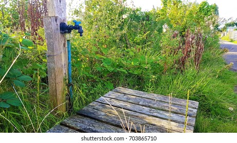 Overgrown Allotment Water Tap With Pallet Base