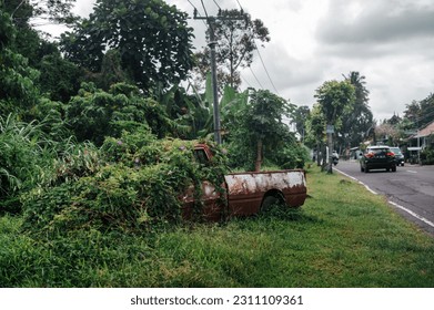 Overgrown car. Old abandoned car in rust is absorbed by nature. - Powered by Shutterstock