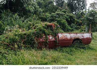 Overgrown car. Old abandoned car in rust is absorbed by nature. - Powered by Shutterstock