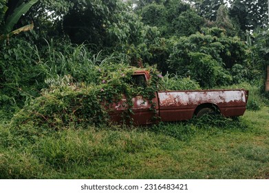 Overgrown car. Old abandoned car in rust is absorbed by nature. - Powered by Shutterstock