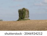 Overgrown corn crib in a fallow field in Minnesota