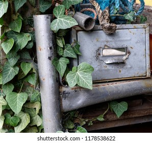 Overgrown Garden Shed Interior                   