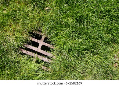 Overgrown Grass And Storm Drain Background