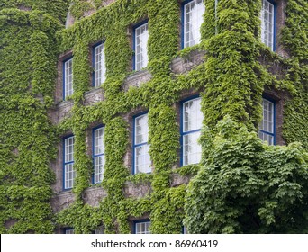 Featured image of post Overgrown House Art / New users enjoy 60% off.