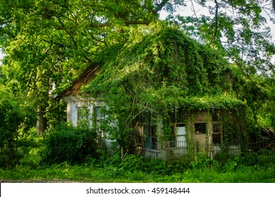 Overgrown House Facade At Countryside