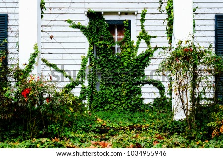Image result for vine covering door