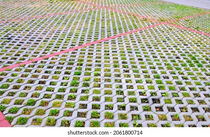 Overgrown Parking Lot With Grass And Weeds