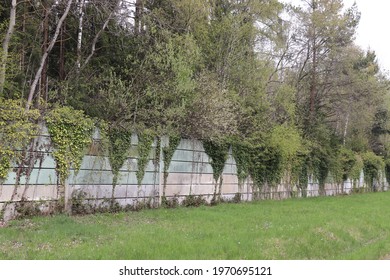 Overgrown Protective Wall Of An Abandoned Military Facility