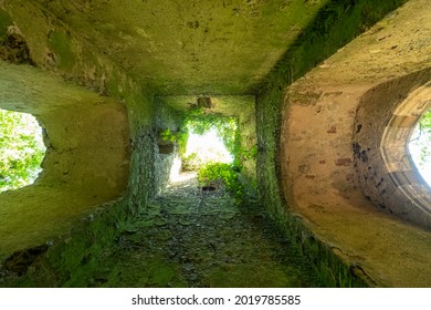 The Overgrown Ruins Of St Mary’s Church, Located In A Woods In East Somerton Near Winterton-on-Sea, North Norfolk UK.
