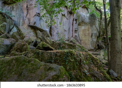 An overgrown stage in front of rock wall in a forest. - Shutterstock ID 1863633895