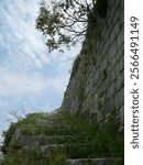 Overgrown stone staircase leading along the fortress walls in Kotor, Montenegro, surrounded by lush greenery and an open blue sky