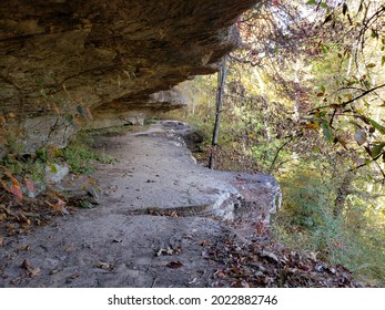 Overhang Over Bear Branch, Shawnee National Forest