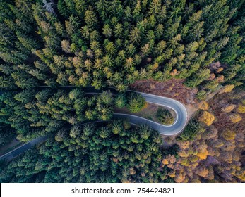 Overhead Aerial Top View Over Hairpin Turn Road Bend In Countryside Autumn Pine Forest.Fall Orange,green,yellow,red Tree Woods.Mountain Curve Street Path Background.Straight-down Above Perspective.