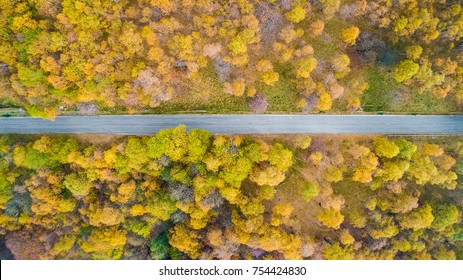 Overhead Aerial Top View Over Straight Road In Colorful Countryside Autumn Forest.Fall Orange,green,yellow,red Tree Woods.Mountain Rectilinear Street Path Background.Straight-down Above Perspective.