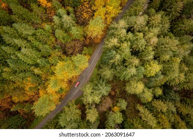 Overhead Aerial View Of An Auto Driving Through A Colorful Fall Forest In The Pacific Northwest. Rural Washington State Dirt Road On A Beautiful Autumnal Morning In The Cascade Mountains.