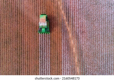 Overhead aerial view over harvesting cotton tractor on a cotton field in Australia cutting the rows.