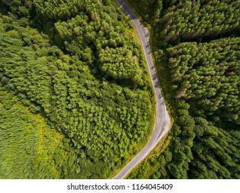 Overhead Aerial View Of A Road Running Through A Forest In South Wales UK