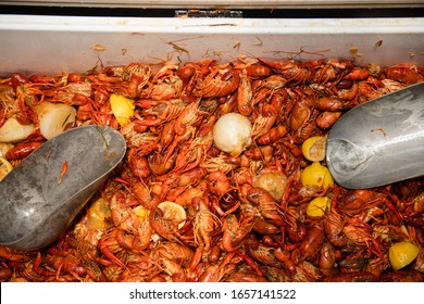 Overhead Closeup View Of A Large Quantity Of Cooked Crawfish Ready To Eat At A Crawfish Boil Party