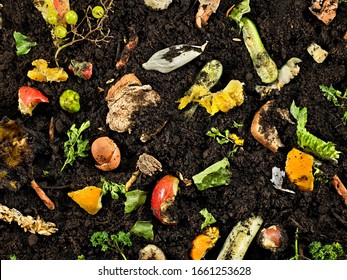 Overhead Of Compost With Food And Dirt